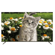 تلویزیون_ال_ای_دی_هوشمند_دوو_مدل_dsl_65su1800