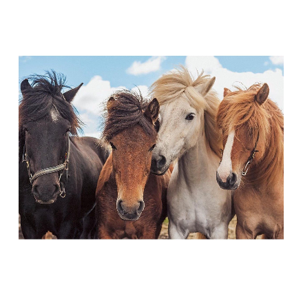 پازل 2 در 1 راونزبرگر مدل Horse love