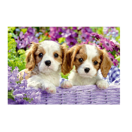 پازل 2 در 1 راونزبرگر مدل Animal pictures